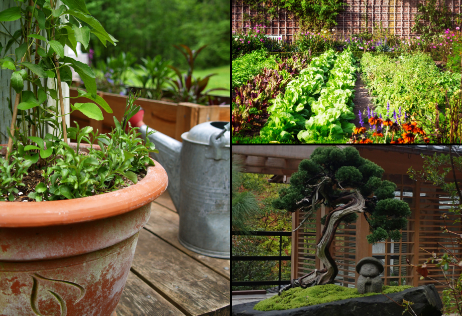 Different dream gardens 